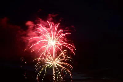 DSC_3356 (Large).JPG